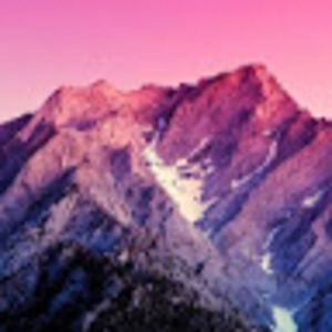 Meet your Posher, Ella